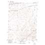 Riner USGS topographic map 41107f5