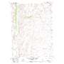 Buena Vista Ranch USGS topographic map 41115d2