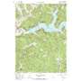 Downsville USGS topographic map 42074a8
