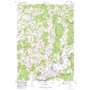 Otego USGS topographic map 42075d2