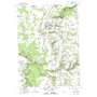 North Collins USGS topographic map 42078e8