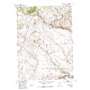 South Pass City USGS topographic map 42108d7