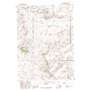 Essex Mountain USGS topographic map 42109a1