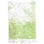 Riverbed Butte USGS topographic map 42121f1