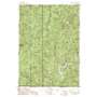 Live Oak Mountain USGS topographic map 42123h5