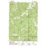Dement Creek USGS topographic map 42124h2