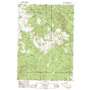 Calf Ranch Mountain USGS topographic map 42124h3