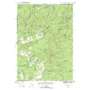 North Wilmurt USGS topographic map 43075d1