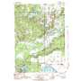 Wolf Lake USGS topographic map 43086c1