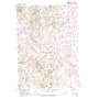 Wounded Knee USGS topographic map 43102b3