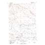 Pavillion Butte USGS topographic map 43108c6