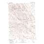 Maverick Spring USGS topographic map 43108d8