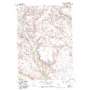 Crowheart Nw USGS topographic map 43109d2
