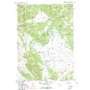 Mosquito Lake USGS topographic map 43110d1