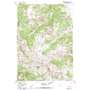 Turquoise Lake USGS topographic map 43110d5