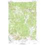 Mount Leidy USGS topographic map 43110f4