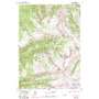 Mount Bannon USGS topographic map 43110f8