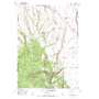 Packsaddle Lake USGS topographic map 43111g3