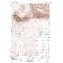 Plano USGS topographic map 43111h8