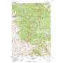 Robie Creek USGS topographic map 43116f1