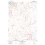 Owyhee Ridge USGS topographic map 43117e2