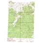 Big Mowich Mountain USGS topographic map 43119h5
