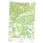 South Branch USGS topographic map 44083d8