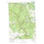 Skidway Lake USGS topographic map 44084b1