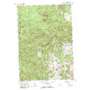 Ogemaw Springs USGS topographic map 44084c3
