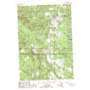 Comins USGS topographic map 44084g1