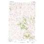 Cabin Creek Nw USGS topographic map 44106h2