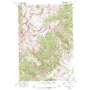 Ptarmigan Mountain USGS topographic map 44109c5