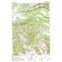 Windy Mountain USGS topographic map 44109g5