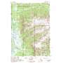 The Trident USGS topographic map 44110b1