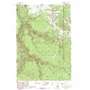 Amethyst Mountain USGS topographic map 44110g3