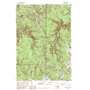 Cook Peak USGS topographic map 44110g5