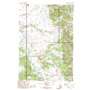 Squaw Creek USGS topographic map 44111h5
