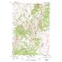 Spur Mountain USGS topographic map 44112h1