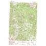 Iron Creek Point USGS topographic map 44113d4