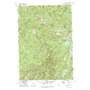 Bull Trout Point USGS topographic map 44115c3