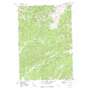 Langer Peak USGS topographic map 44115d1