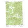 Bear Valley Mountain USGS topographic map 44115d4