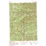 Chinook Mountain USGS topographic map 44115f3