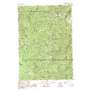 Pistol Lake USGS topographic map 44115f4