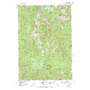 Paddy Flat USGS topographic map 44115g8