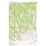 Sturgill Peak USGS topographic map 44116e8