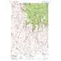 Sawtooth Ridge USGS topographic map 44117h5