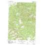 Canyon Mountain USGS topographic map 44118c8