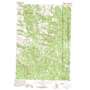 Keeney Point USGS topographic map 44118f8