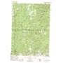 Flagtail Mountain USGS topographic map 44119b3